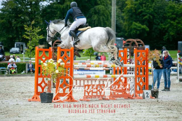 IMG_5705 | Turniersportfotografie; Pferdefotografie; Dressurfotografie