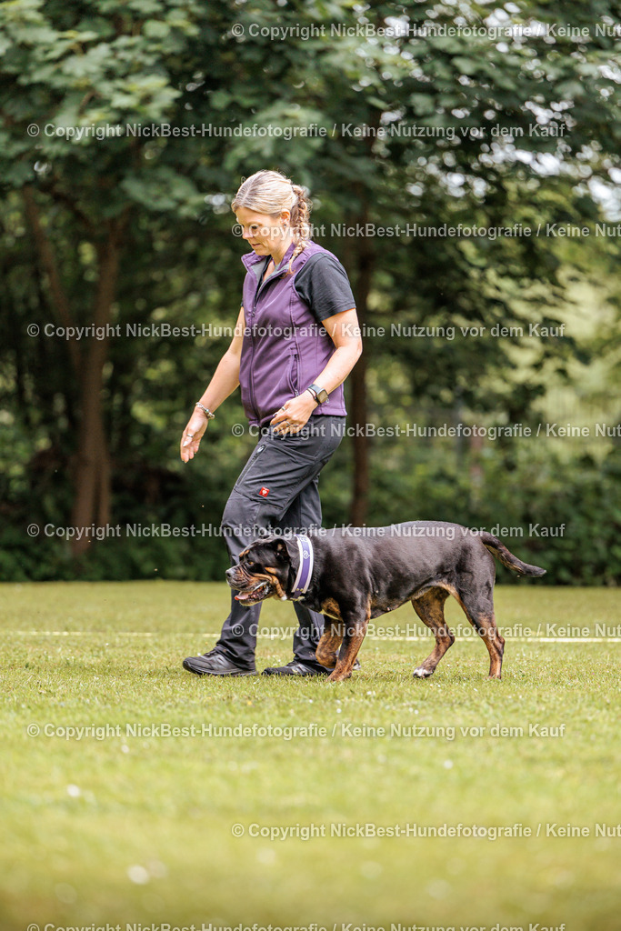 RO-Blumenthal-2026-Nickbest-Hundefotografie-1665 | Dein Hund! Dein Moment! Deine Erinnerungen! Hundefotografie in Bremen Blumenthal. Ich fange die besonderen Momente deines Vierbeiners ein – ob Indoor mit Blitzanlage oder in der freien Natur. Sicher dir dein Moment und dein Termin für eure Erinnerungen.