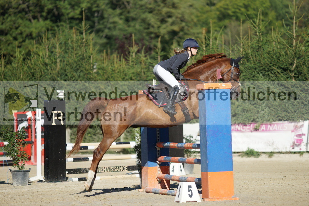 DSC08284 | equestrian-live-com