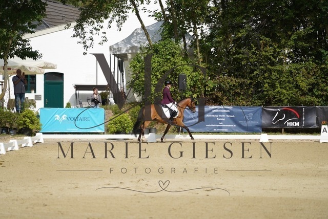 VAN00220 | Marie Giesen Fotografie - Realisiert mit Pictrs.com