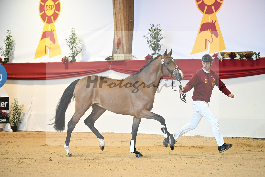 Kat-Nr. 6 Casallco_Hirschhaeuser_1231115 | hf-fotografie - Realizzato con Pictrs.com