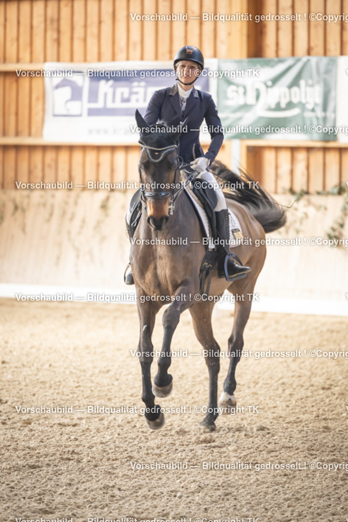 _D5A2644 | Emotionale Pferde- & People-Fotografie rund um Heidelberg, Leimen & Umgebung. Natürliche Fotos von Pferd, Mensch & Familie. Jetzt Termin sichern!