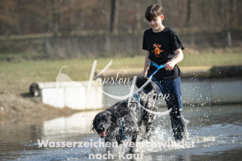 1242_ZZ91507 | kk-dogfotos