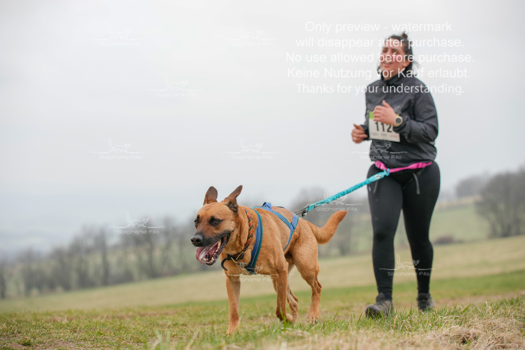 Canixlong-515 | stephaniefillaphotographie - Realisiert mit Pictrs.com