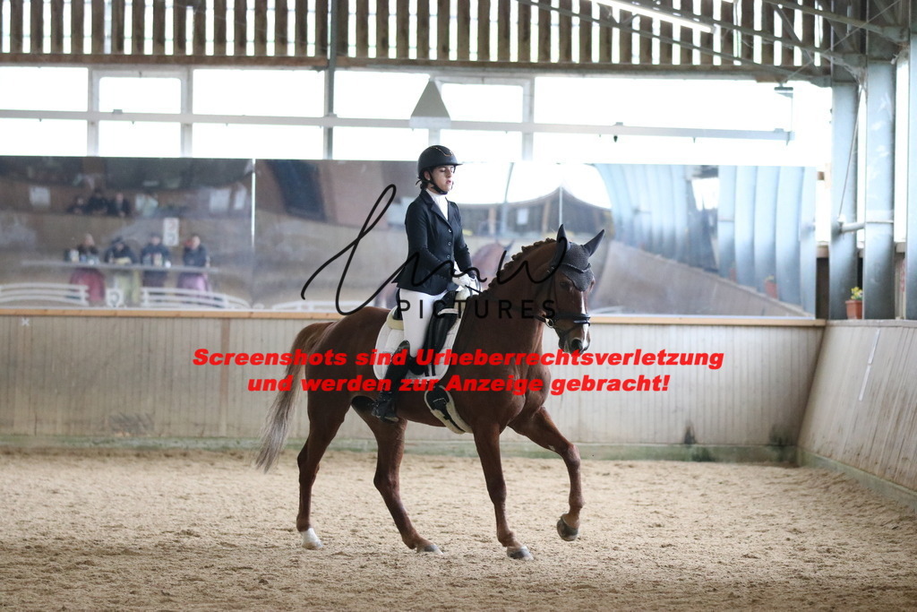 IMG_7455 | lmwpictures - Realisiert mit Pictrs.com