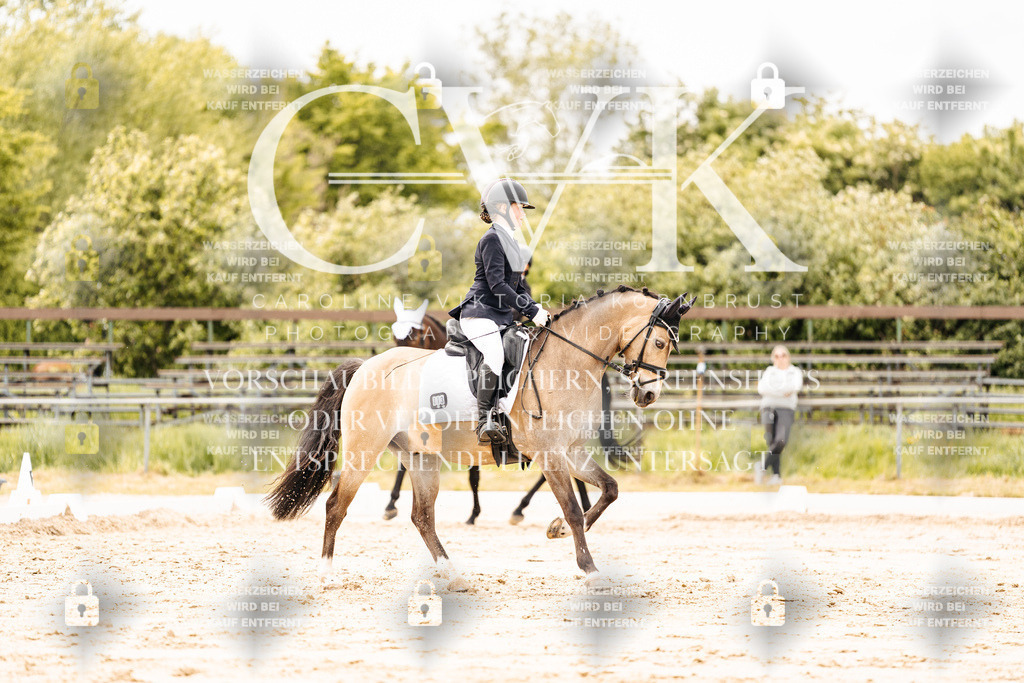 CK902848 | Turnierfotografie Pferdefotografie Trier Rheinland-Pfalz Pferdesport Reitsport Tierfotografie Sportfotografie Pferdevideo Pferdevideografie Equestrianvideography equestrianphotography  - Realisiert mit Pictrs.com