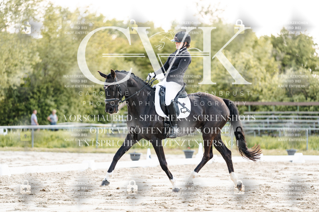 CK909413 | Turnierfotografie Pferdefotografie Trier Rheinland-Pfalz Pferdesport Reitsport Tierfotografie Sportfotografie Pferdevideo Pferdevideografie Equestrianvideography equestrianphotography  - Realisiert mit Pictrs.com