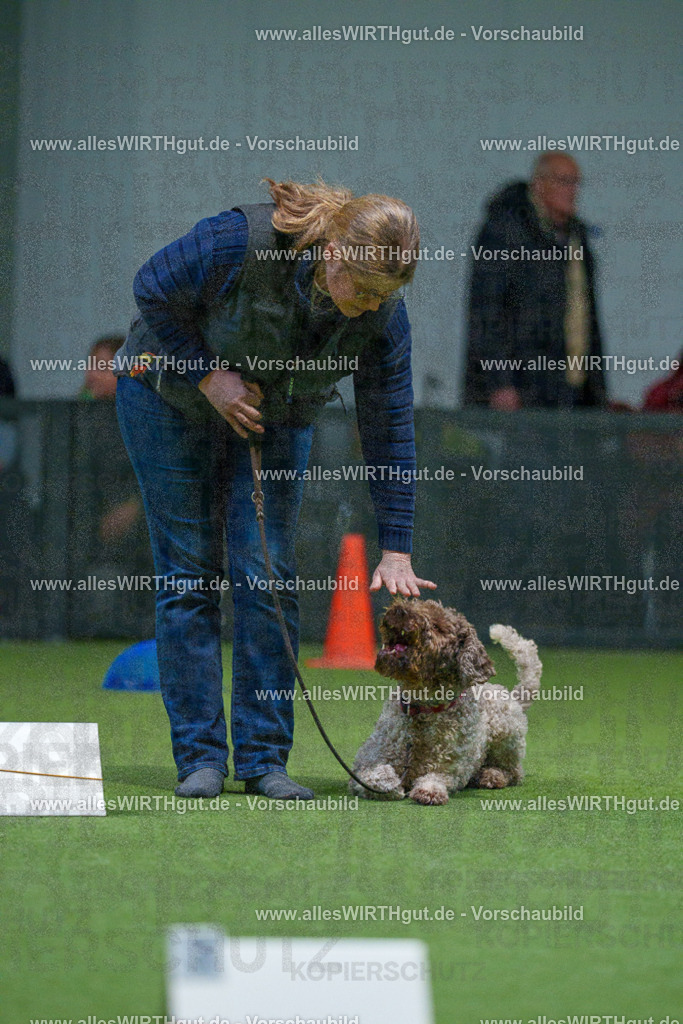 7R507802 | Professionelle Tierfotografie in Mönchengladbach von Daniel Wirth (allesWIRTHgut). Liebevolle & natürliche Bilder von Hunden & Katzen für unvergessliche Erinnerungen.