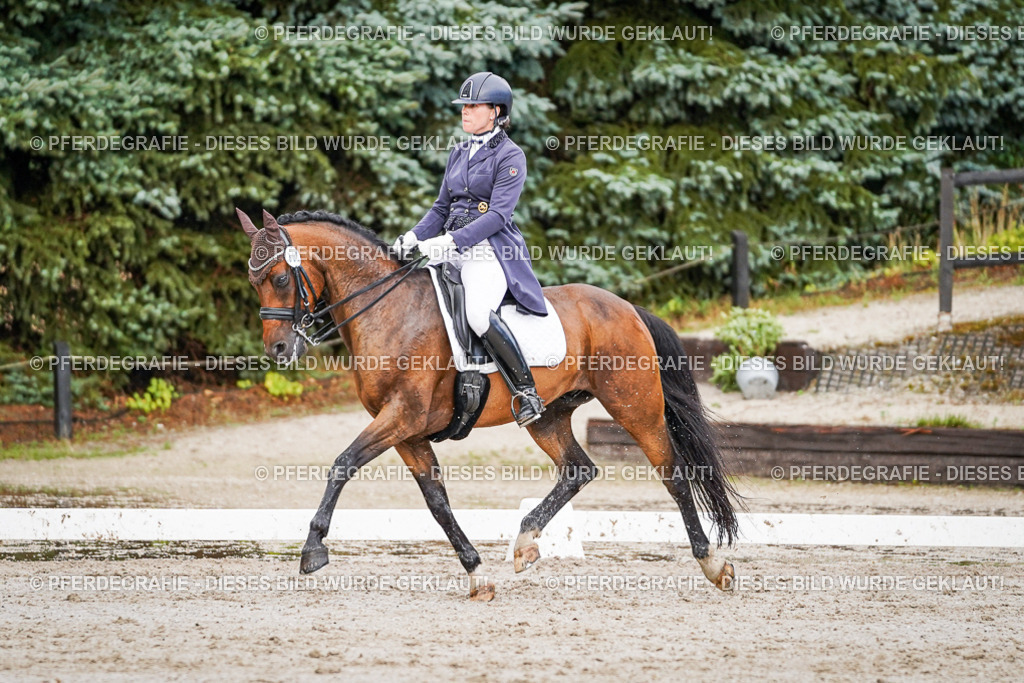 DSC00234 | Pferdegrafie