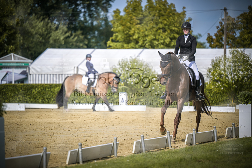 DOS_6729 | Entdecke hochwertige Reitturnierfotos von Foto Oger. Professionell, emotional und authentisch – jetzt Lieblingsmomente im Shop bestellen. - Realisiert mit Pictrs.com