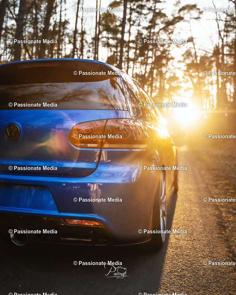 DSC05188 | Passionate Media, dein Fotograf aus Brandenburg, Märkisch Oderland, im Bereich Motorsport, Autos und Motorräder sowie Events und auch Hunde. Shootings oder auch Eventbegleitungen können bei mir gebucht we