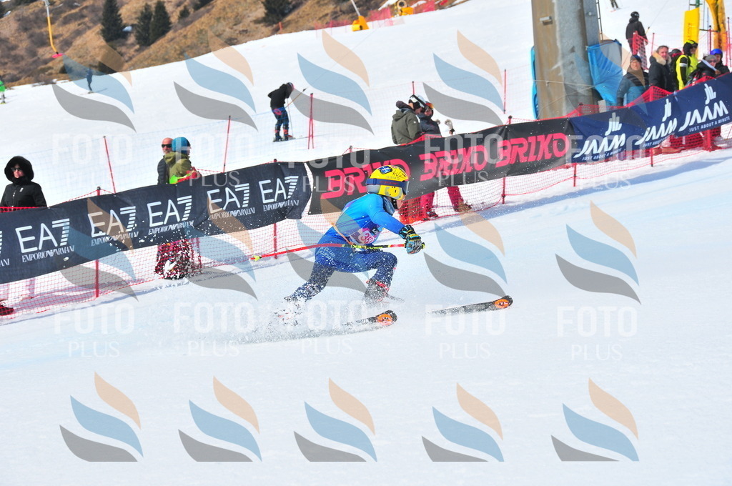 DSC_6981 | holidayphoto