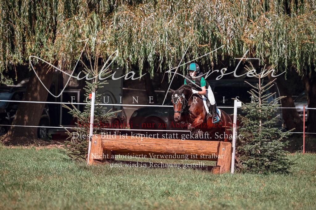 DSC_3617 | Pferde- und Turnierfotografie in Westsachsen. Pferdeportraits, Auftragszeichnungen und intuitive Kunst.