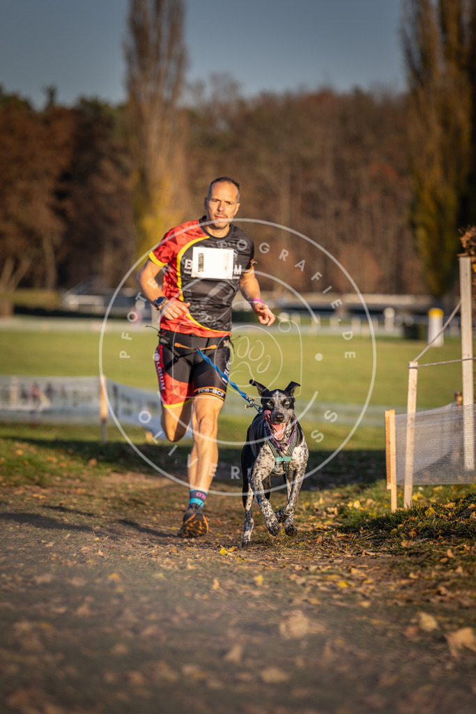 CaniXpix_DV3A4229 | Hundefotografie, Tierfotograf, Pfotenfotografie, Fotoshooting Hund, Hunde Portrait, Hundesport, Hundeportraits, Heideshooting, Hunde, Sportfotograf, Hundefotograf, Turnierhundsport, THS,  - Realisiert mit Pictrs.com