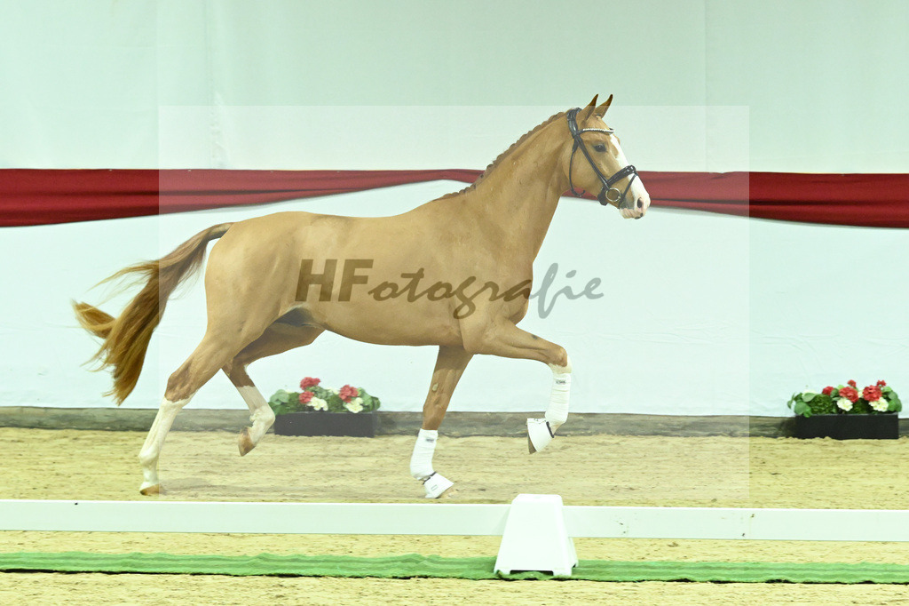 Kat-Nr. 10 v. Fuerst Samarant_Beckmann_63220016 | hf-fotografie - Realizzato con Pictrs.com