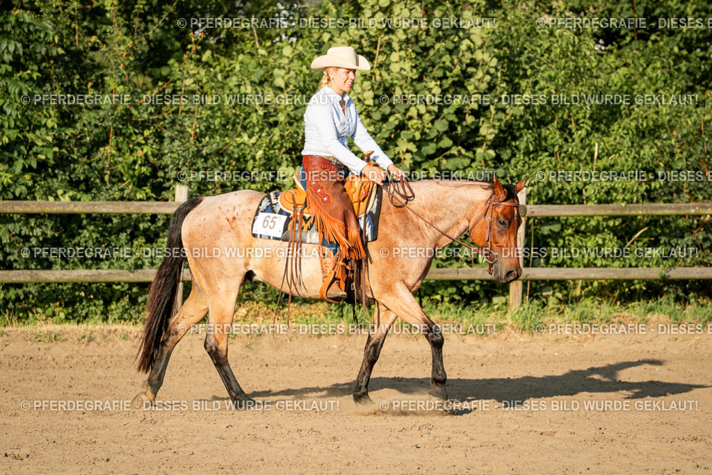 DSC06302 | Pferdegrafie