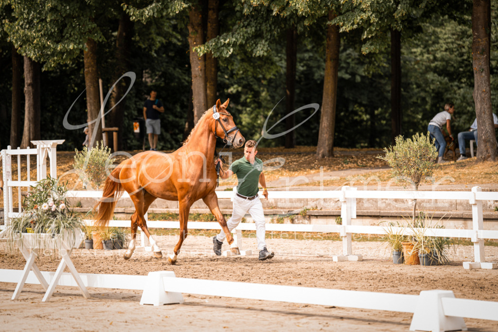 7.Fr00030 | Leoni Ertmer Photography - Realisiert mit Pictrs.com