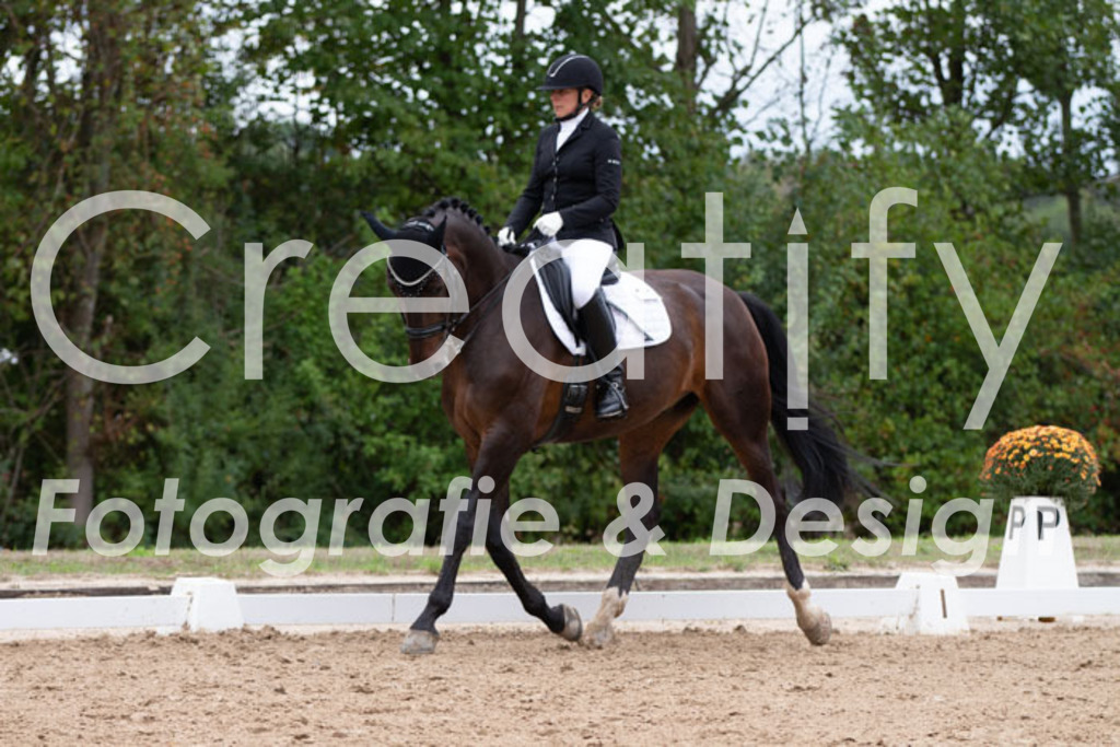 IMG_7593 | Creatify Fotografie