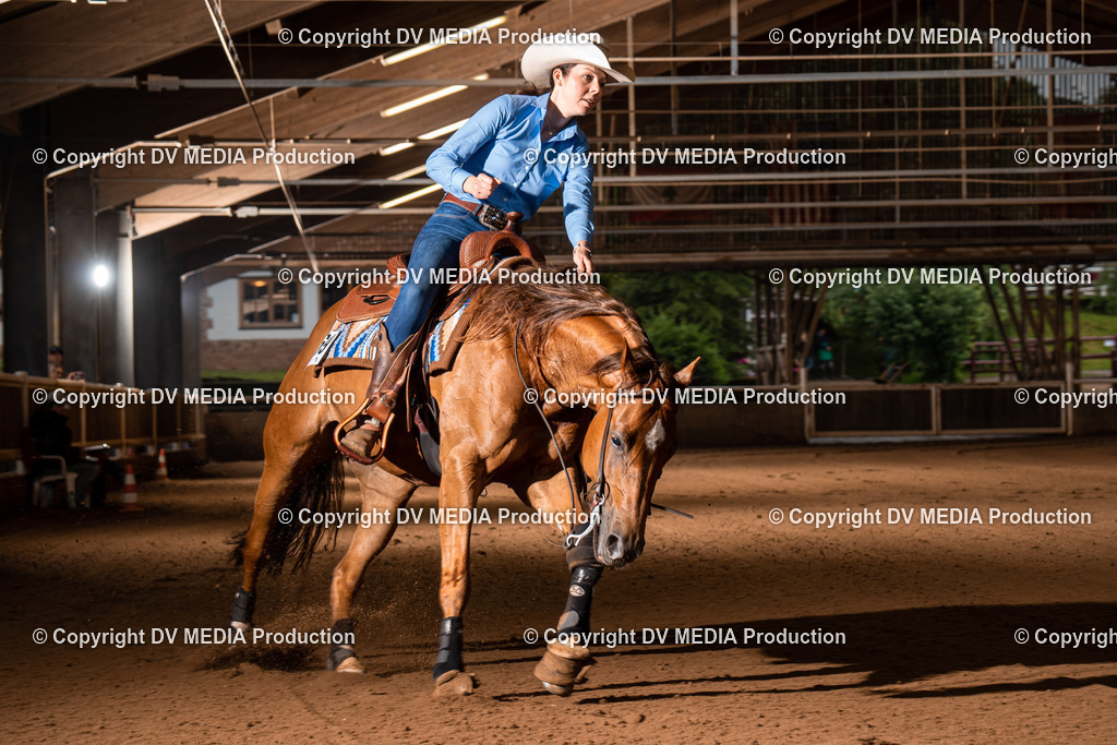 Erbach Tag 3-779 | dv-media-shop - Realisiert mit Pictrs.com