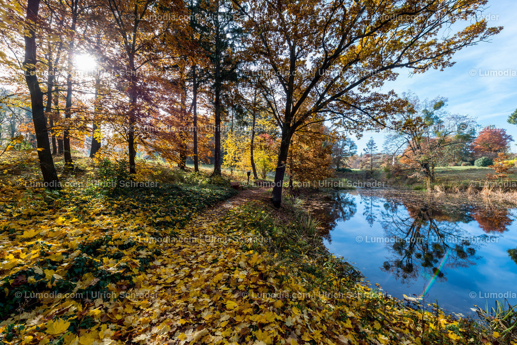 10049-4588 - Landschaftspark Degenershausen | Stockfoto und Bilderpool mit Bildmaterial aus Deutschland, dem Harz, Halberstadt, Quedlinburg, Wernigerode und weltweit. Qualitativ hochwertige und professionelle Fotos anschauen und kaufen. - Realisiert mit Pictrs.com