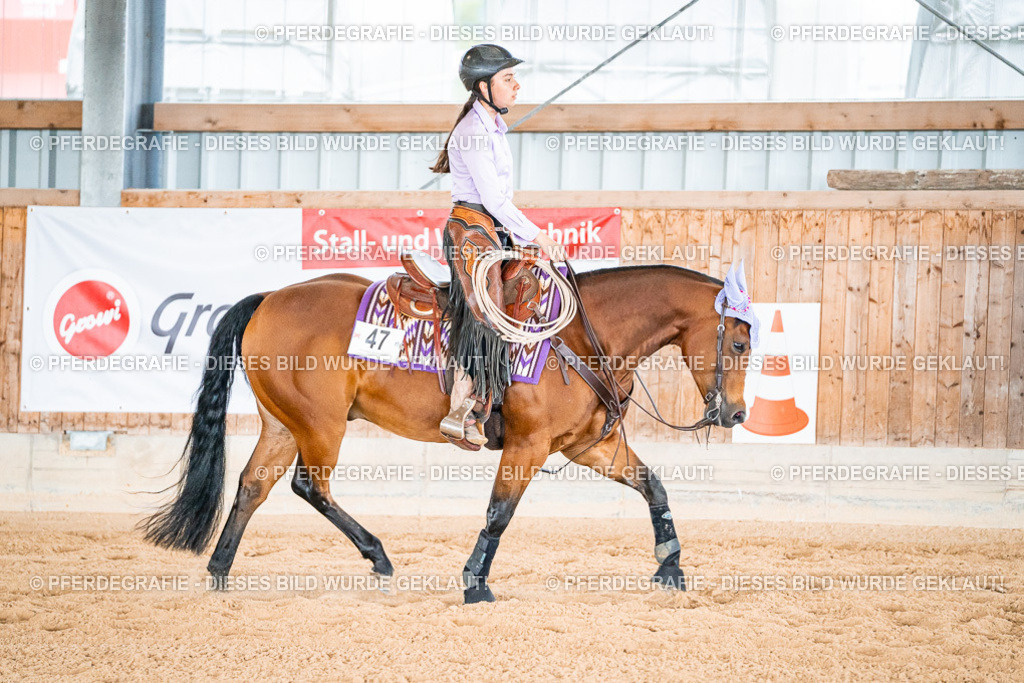 DSC09348 | Pferdegrafie