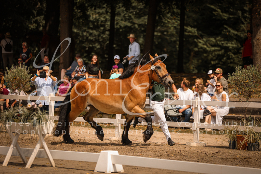 2.Sa00071 | Leoni Ertmer Photography - Realisiert mit Pictrs.com