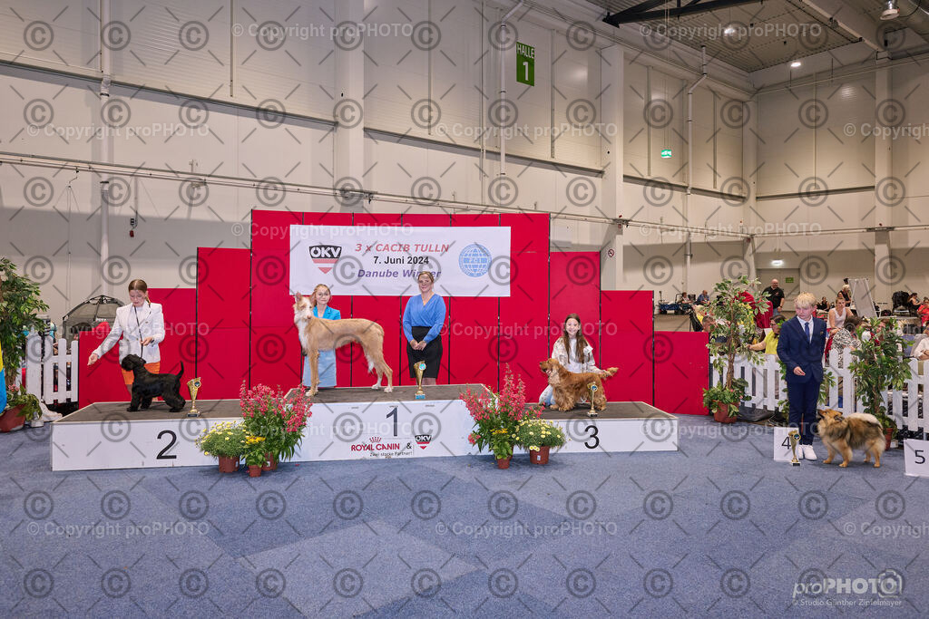 202406_ÖKV-IHA-Tulln24_NZ9_7733 | proPHOTO - Realisiert mit Pictrs.com