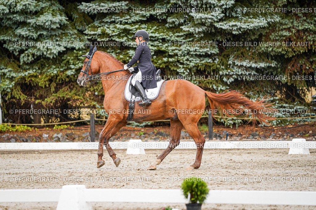 DSC09572 | Pferdegrafie