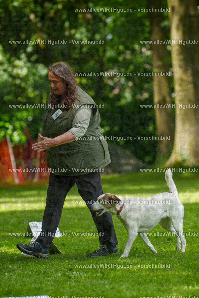 @allesWIRTHgut_Tierfotografie - www.allesWIRTHgut.de - 7R504348 | Professionelle Tierfotografie in Mönchengladbach von Daniel Wirth (allesWIRTHgut). Liebevolle & natürliche Bilder von Hunden & Katzen für unvergessliche Erinnerungen.
