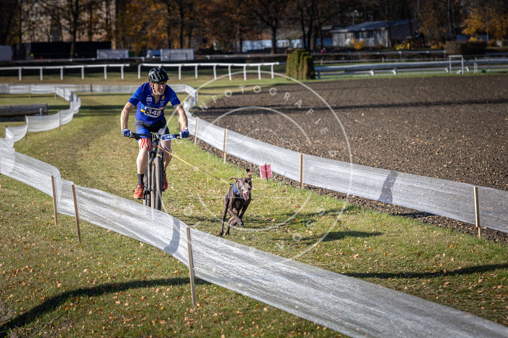 CaniXpix_DV3A7067 | Hundefotografie, Tierfotograf, Pfotenfotografie, Fotoshooting Hund, Hunde Portrait, Hundesport, Hundeportraits, Heideshooting, Hunde, Sportfotograf, Hundefotograf, Turnierhundsport, THS,  - Realisiert mit Pictrs.com