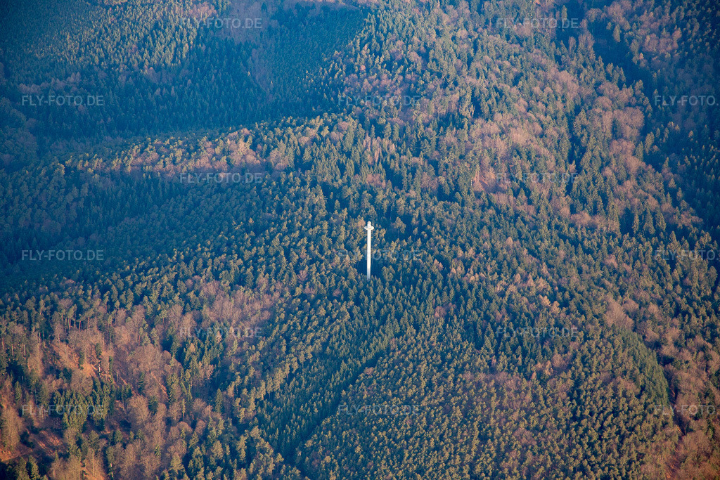 Luftbild: Bismarckturm in Bad Bergzabern im Bundesland Rheinland-Pfalz in Deutschland. Foto: IMG_076747.jpg vom 28.03.2015 durch Werner Riehm/FLY-FOTO.de