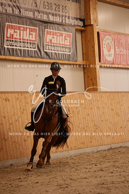 1J2A3497Annelen Heinrich_ Come on Cero_ Kn154_ Hohen Wieschendorf_ Glantz | Foto- und Videografie für alles rund ums Pferd. Hochwertige Bilder und Videos vom Spring- und Dressurreiten, Voltigieren & mehr. Jetzt aktuelle Veranstaltungen und Preise im Shop ansehen. - Realisiert mit Pictrs.com