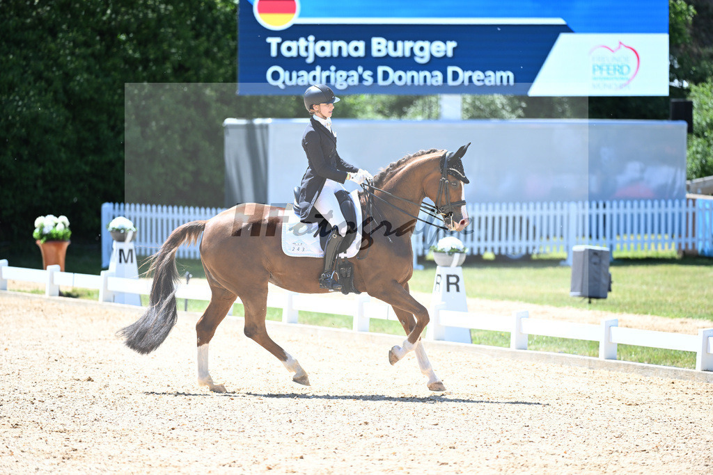 Burger_Quadrigas Donna Dream_11253003 | hf-fotografie - Realisiert mit Pictrs.com
