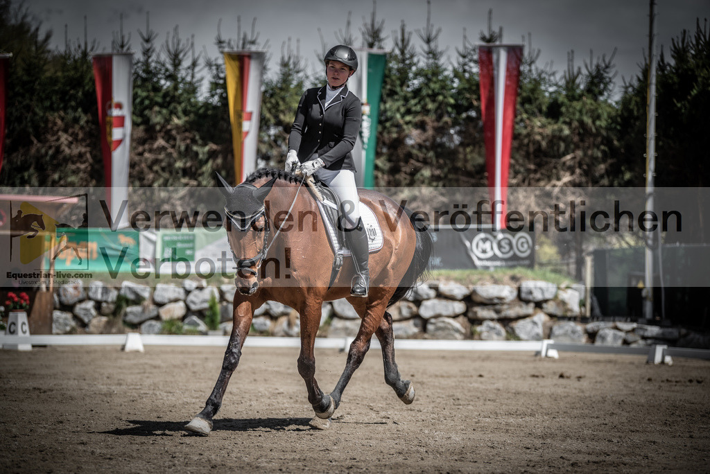 DSC_0537 | equestrian-live-com
