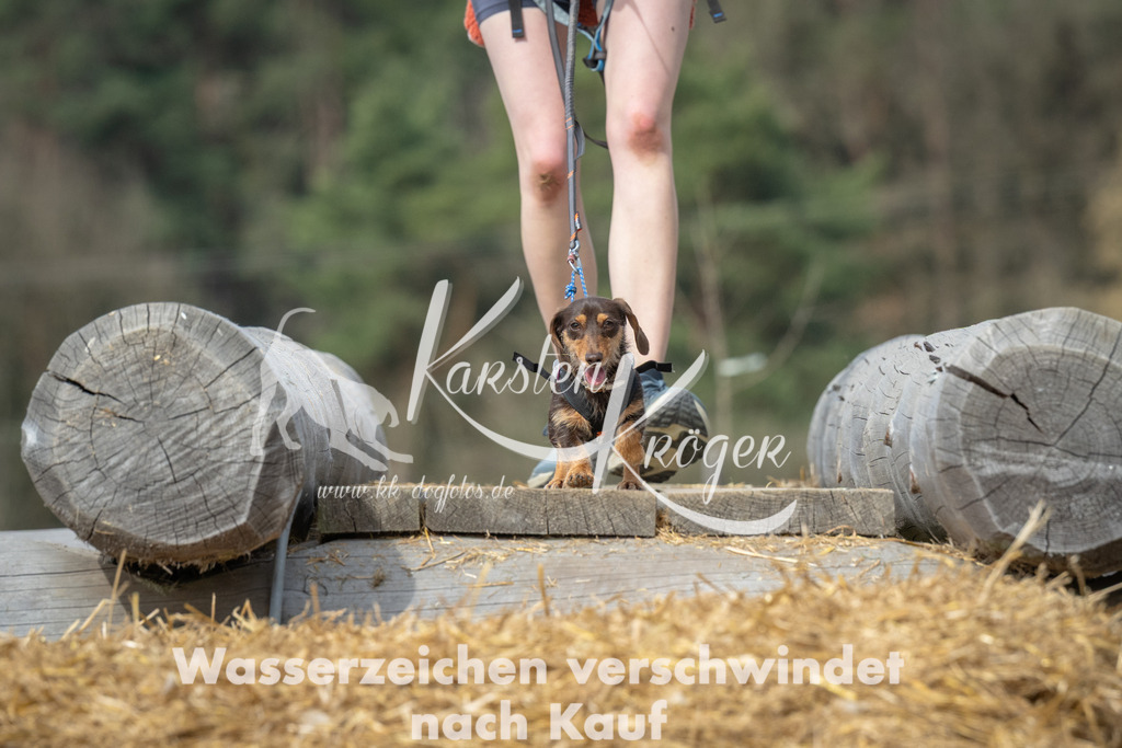 1113_ZZ96499 | kk-dogfotos