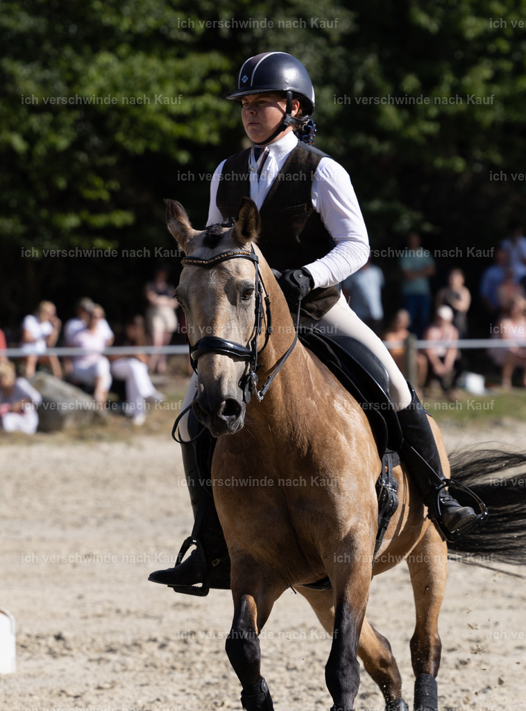 WS_SPEED_75_KerstinBernhardt-9 | working equitationturnier fotograf videograf stoibphotography marixx film working equitation deutschland reitsport turnierfotografie eventfotografie equestrian events