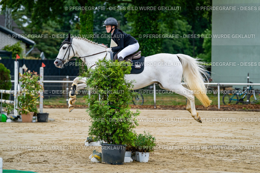 DSC01776 | Pferdegrafie