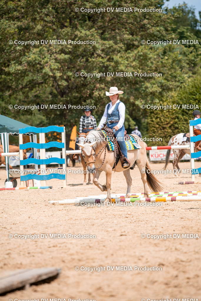 ZS2_8220 | dv-media-shop - Realisiert mit Pictrs.com