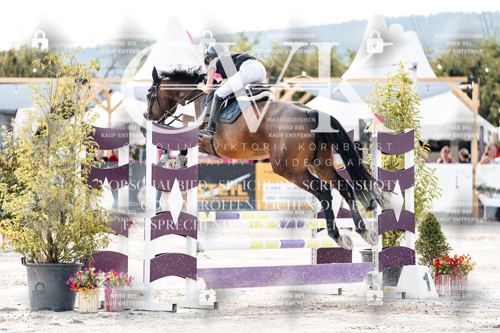 CK906181 | Turnierfotografie Pferdefotografie Trier Rheinland-Pfalz Pferdesport Reitsport Tierfotografie Sportfotografie Pferdevideo Pferdevideografie Equestrianvideography equestrianphotography  - Realisiert mit Pictrs.com
