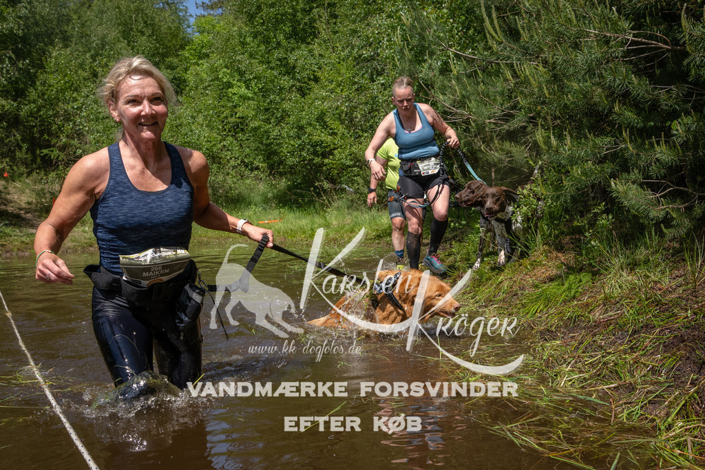 1312DKK994094 | kk-dogfotos