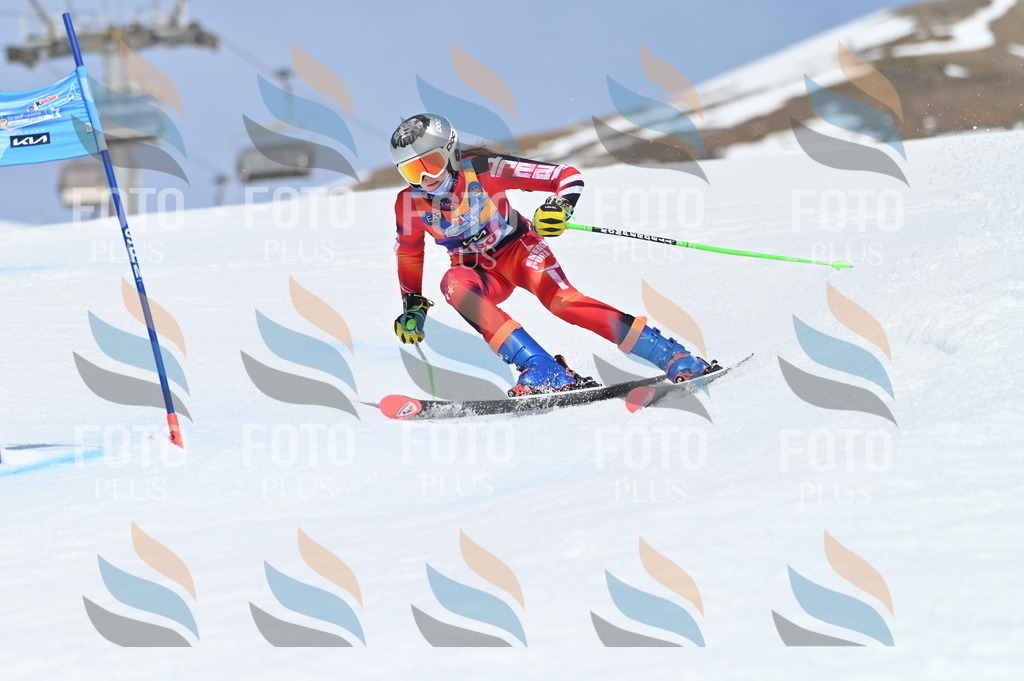 BGV_0617 | holidayphoto