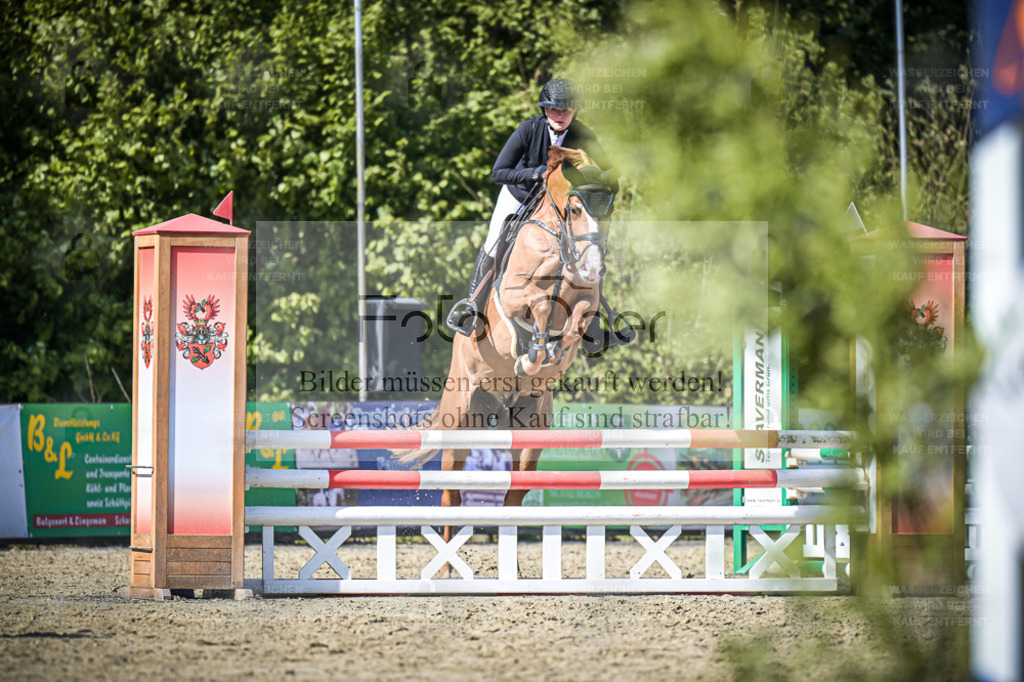 DOS_9012 | Entdecke hochwertige Reitturnierfotos von Foto Oger. Professionell, emotional und authentisch – jetzt Lieblingsmomente im Shop bestellen. - Realisiert mit Pictrs.com