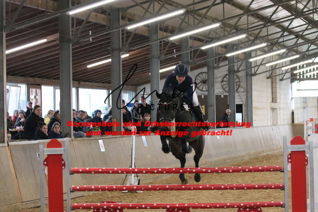 IMG_6068 | lmwpictures - Realisiert mit Pictrs.com