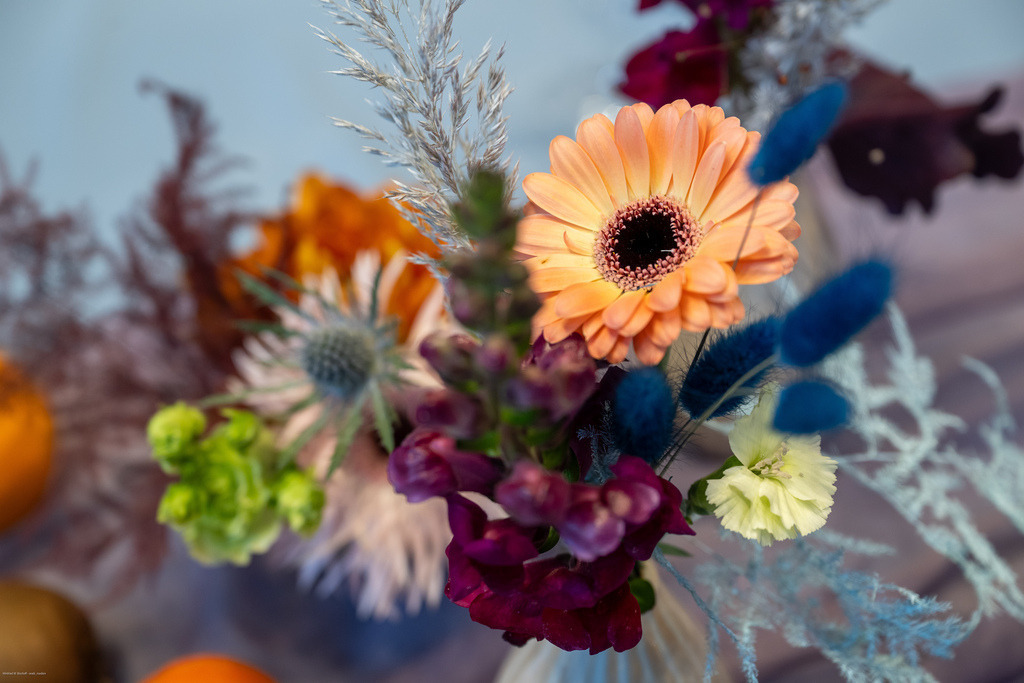 WWB_7737 | <Fotografie> <Video> <Film> <Winfried Bischoff> - Realisiert mit Pictrs.com