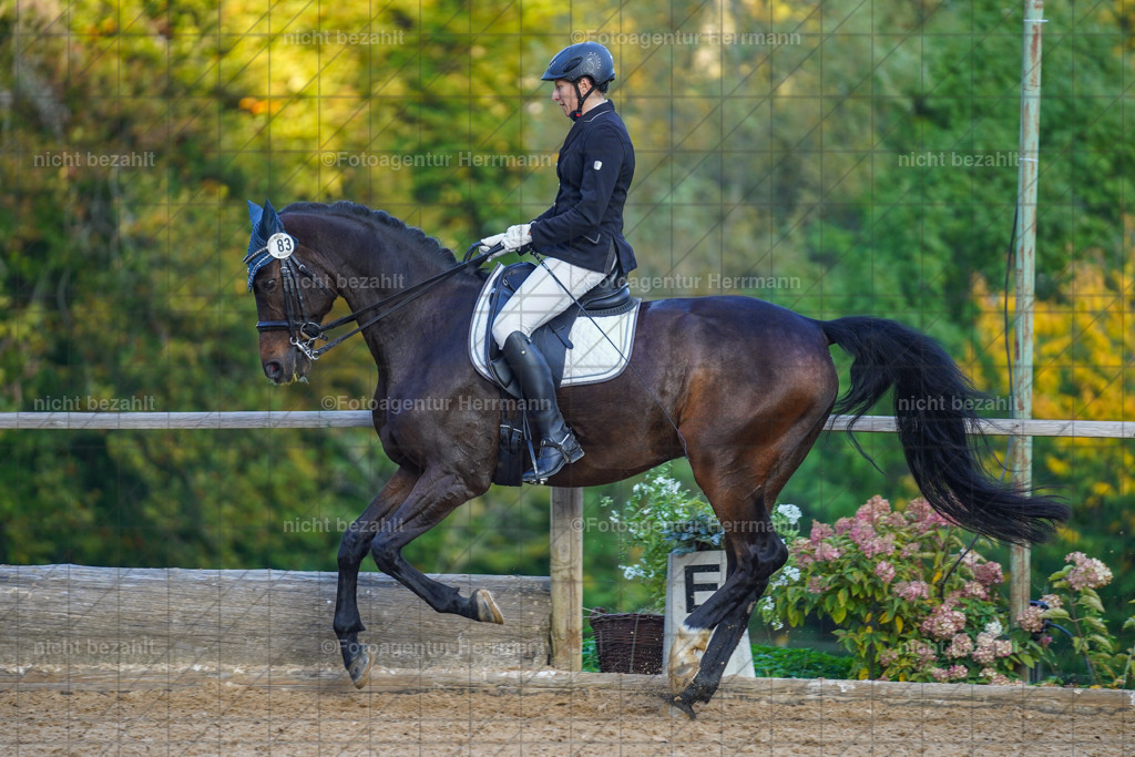 20221007-FAH00514 | Diessen am Ammersee, 2022, Dressur- und Springturnier, Reitsportbilder, Turnierfotografen Bayern, Pferdefotografen, Fotoagentur Herrmann, Turnierbilder