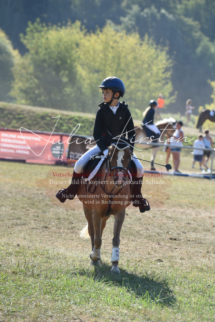 DSC_5946 | Pferde- und Turnierfotografie in Westsachsen. Pferdeportraits, Auftragszeichnungen und intuitive Kunst.
