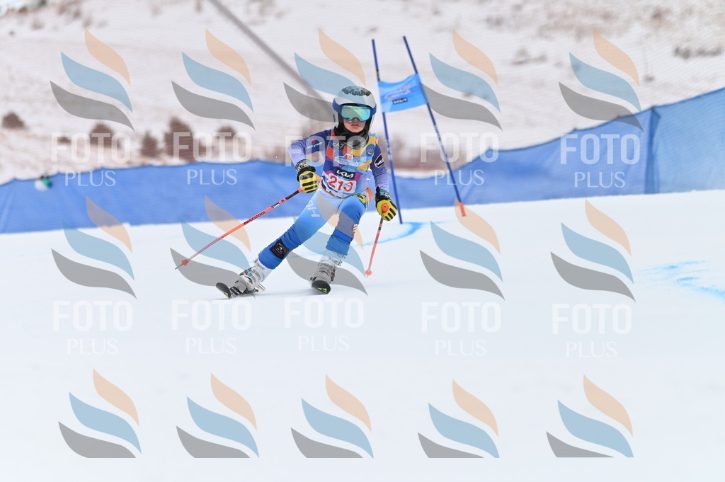 BGV_2603 | holidayphoto