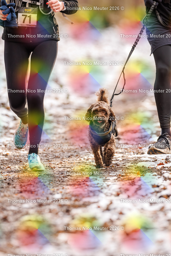 Thomas_Nico_Meuter(C)_223A9231 | Bild von Thomas Nico Meuter - Realisiert mit Pictrs.com