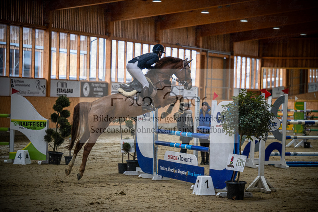 DOS_0475 | Entdecke hochwertige Reitturnierfotos von Foto Oger. Professionell, emotional und authentisch – jetzt Lieblingsmomente im Shop bestellen.Deutschlandweite Turnierfotografie. - Realisiert mit Pictrs.com