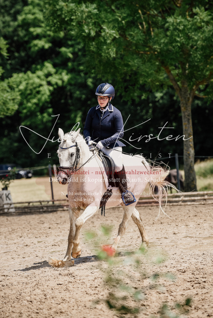 DSC_1830 | Pferde- und Turnierfotografie in Westsachsen. Pferdeportraits, Auftragszeichnungen und intuitive Kunst.